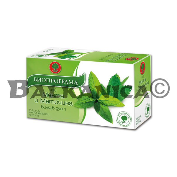 30 G INFUSION DUO MENTHE ET MELISSA BIOPROGRAMA