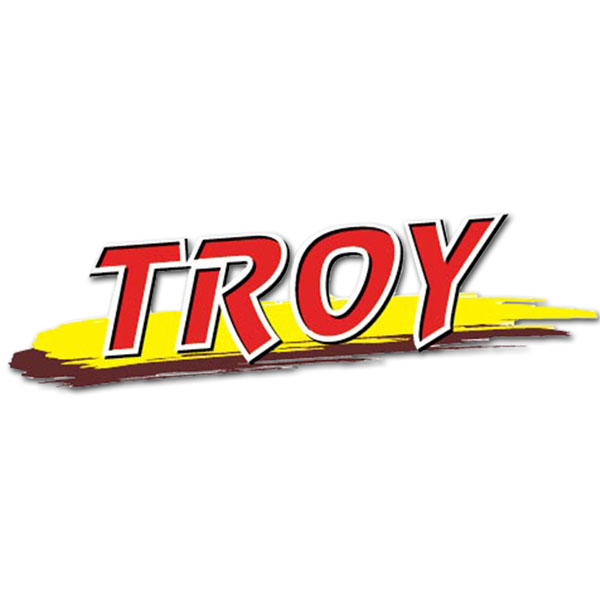 ТРОЯ ТРОЯ
