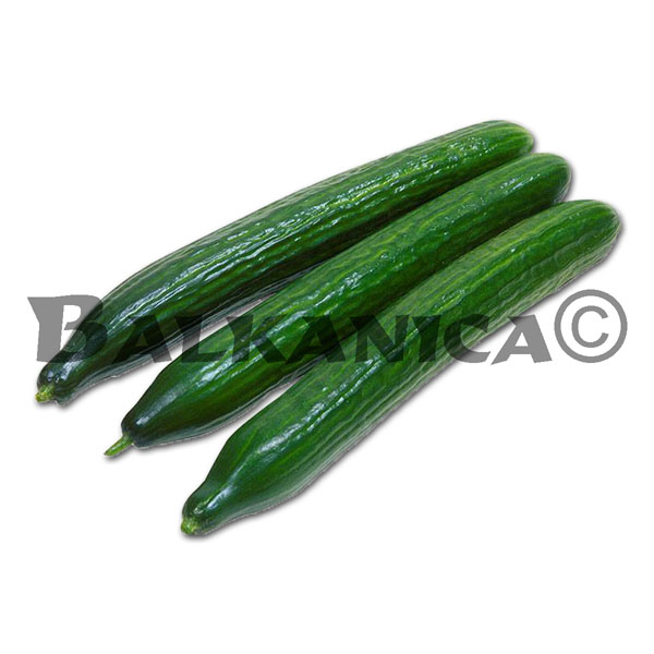 CASTRAVETE PROASPAT BULGARIA CASTRAVETE PROASPAT BULGARIA