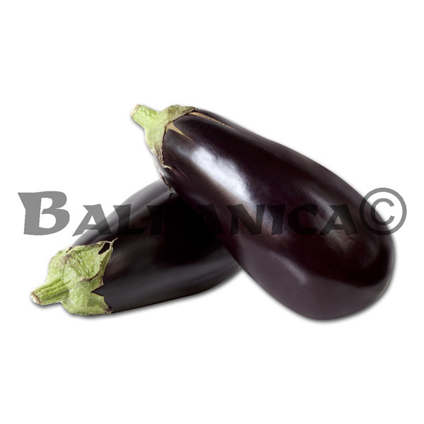 BERINGELA BERINGELA